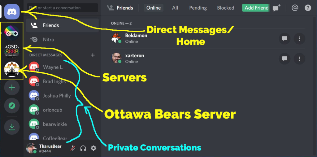 Discord home view.